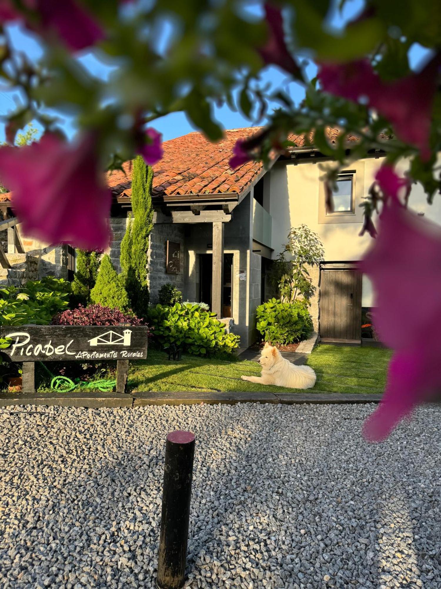 Apartamentos Picabel Onís Zewnętrze zdjęcie